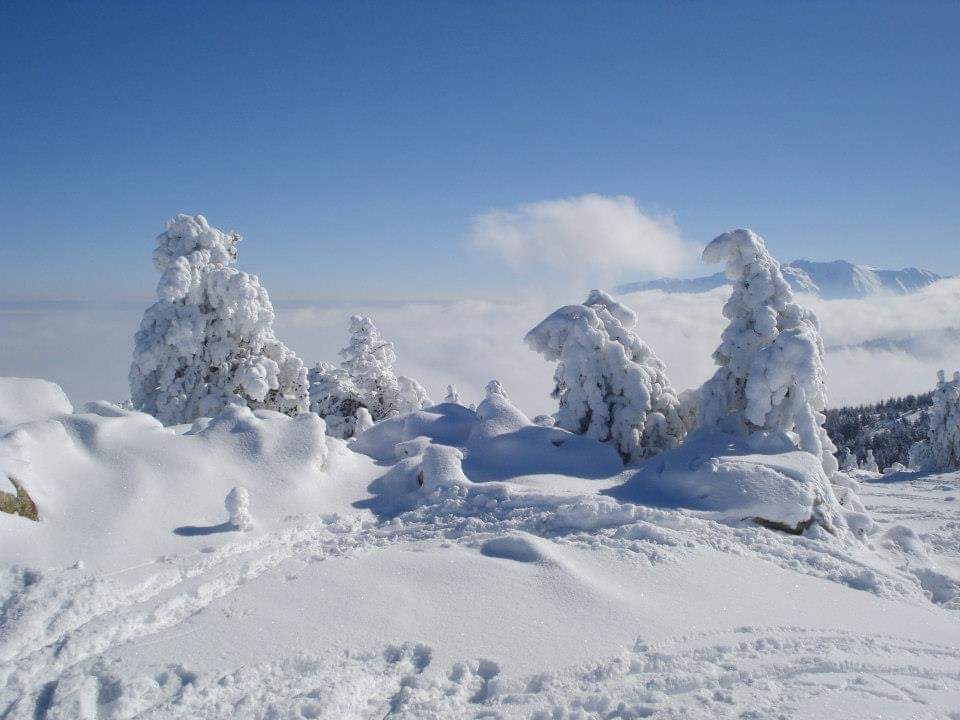 Χιονοδρομικό